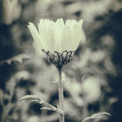 You are so beautifull