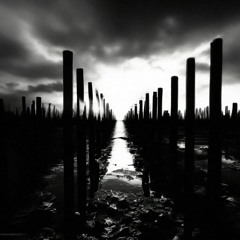 Самый дорогой человек