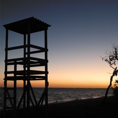 Guardião do Fogo Sagrado