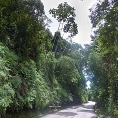 ghosts 1.1 garden (day)