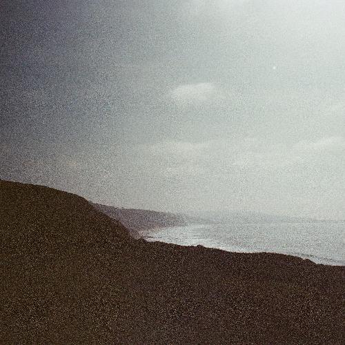 a garden grows between us