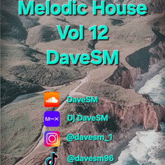 Vol 12 Melodic House 17-02-2025