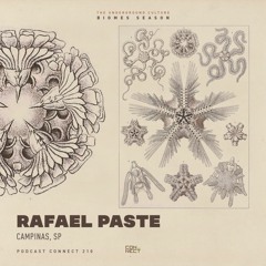 Rafael Paste (Live) @ Podcast Connect #210 - Campinas, SP