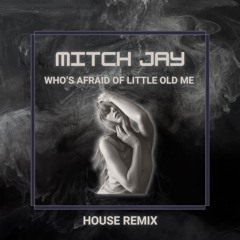 Taylor Swift - Who’s Afraid Of Little Old Me (Mitch Jay House Remix)