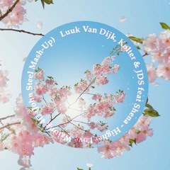 Luuk Van Dijk, Kolter & JDS feat Shena - Higher Love Waiting 4U (John Steel Mash-Up).wav