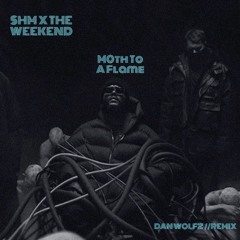 {DAN WOLFZ FLIPS} :&