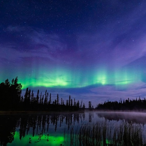 Stepan Gusak - Northern Lights (free Download)