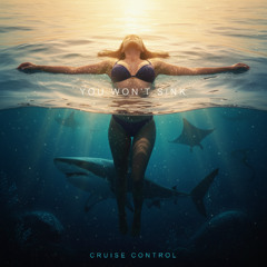 You Won't Sink