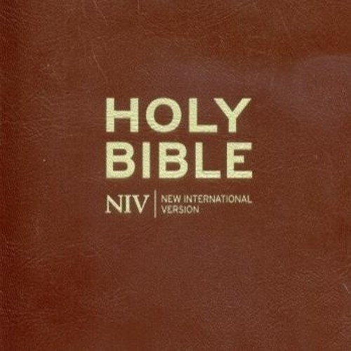 Stream NIV, Holy Bible, EBook Downloads Torrent !NEW! by Michael Listen online for free on