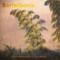 Still Standing in the Static