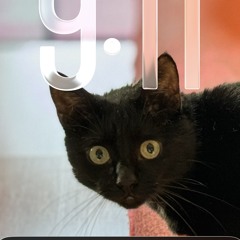 Be kind. Will be loved.