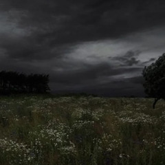 nightmarezz