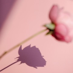 Shadows of Sadness
