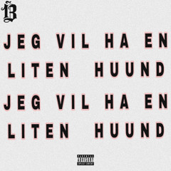 Jeg vil ha en liten hund (BigValley Remix)