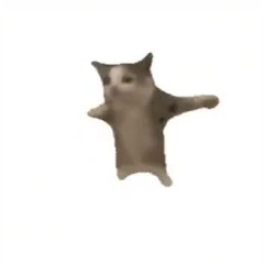 Mew mew meme song 1 hour