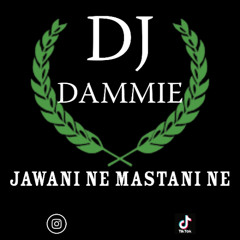 Jawani Ne Mastani Ne | DJ Dammie | Bassline Remix |