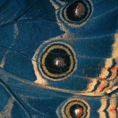 Delirium Tremens (Extended Version)