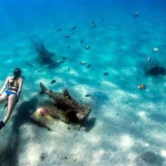 Best Snorkeling In St Augustine Florida Prices Reviews