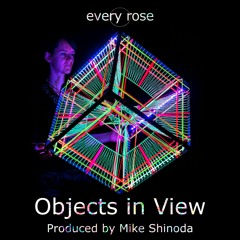 Objects In View