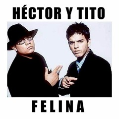HECTOR Y TITO - Felina Remix Old School GuillermoDj 2 Versiones Free
