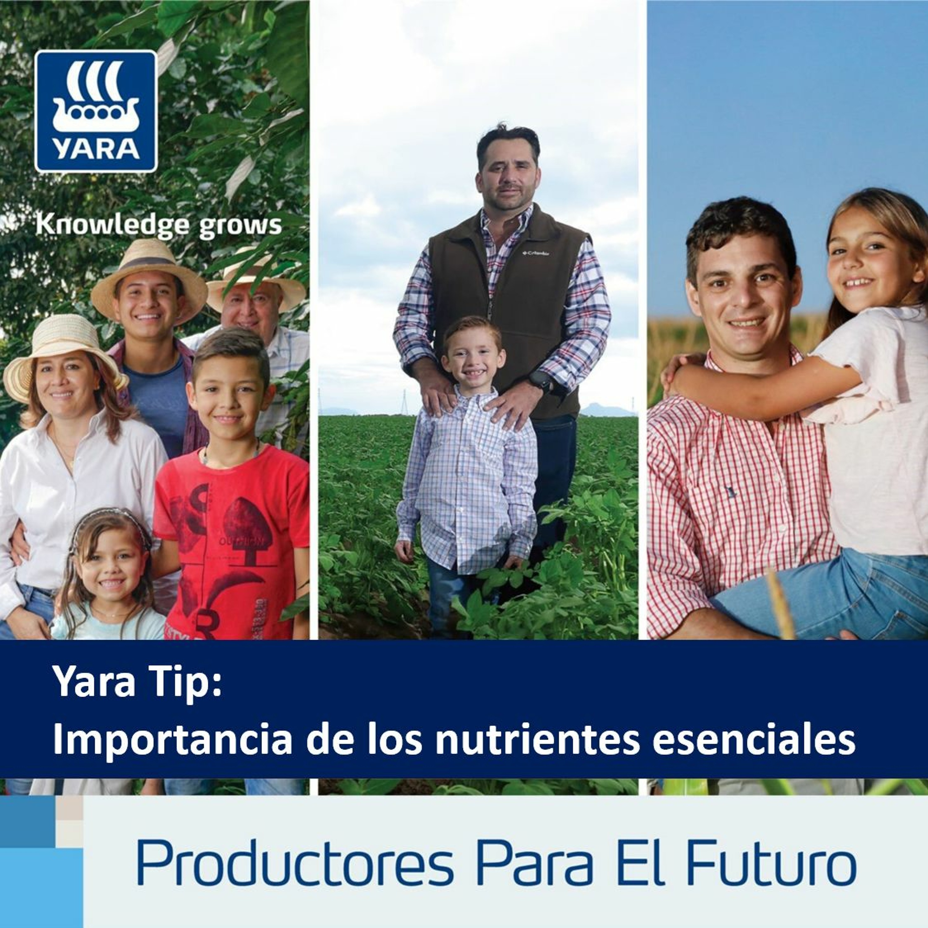 Productores Para El Futuro