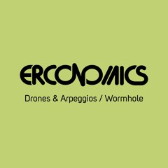 Erconomics - Wormhole