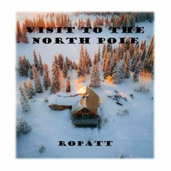 VISIT TO THE NORTH POLE