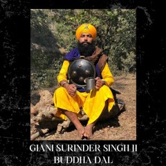 Giani Surinder Singh Ji Budha Dal - Katha Vichaar