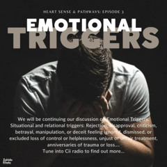 17/11/25 Sabeelul Hayaat : Heart Sense and Pathways - Emotional Triggers with Dr Z. Kotu