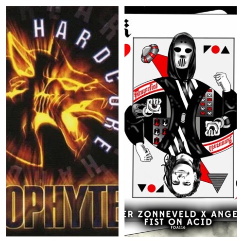 Reinier Zonneveld & Angerfist vs Neophyte - Fist On Acid vs Braincracking (Miss Channa Mixup)