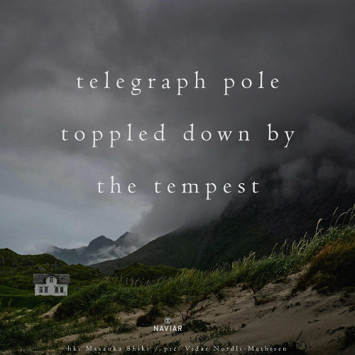 after the fall (naviarhaiku566)