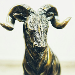 All That Glitters Is A Golden Fleece