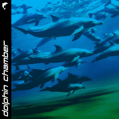 Stream Dolphin Juke [206] by Bombtwo 🐬 | Listen online for