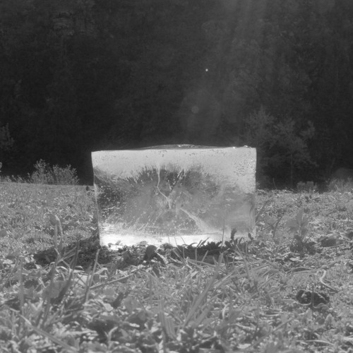 Drowning Of The Migratory Birds（候鸟的溺亡）