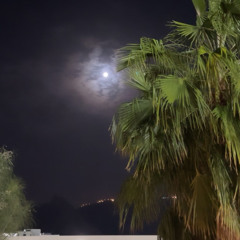 ياليت عندي فلة في ابوظبي 💤.،
