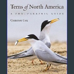 [Read Pdf] 📚 Terns of North America: A Photographic Guide pdf
