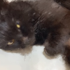 Danpen 断片(・Д・)