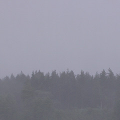 Intense thunderstorm