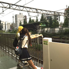 Walk   w/sEarch,ColoLit