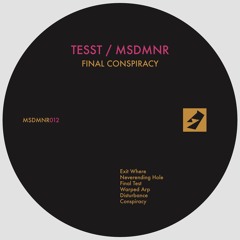 Premiere: TESST "Neverending Hole" - MSDMNR