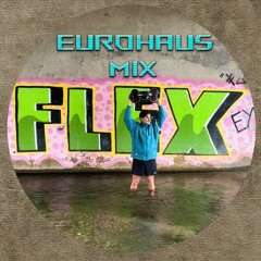EUROHAUS MIX - HAUSSTYLE