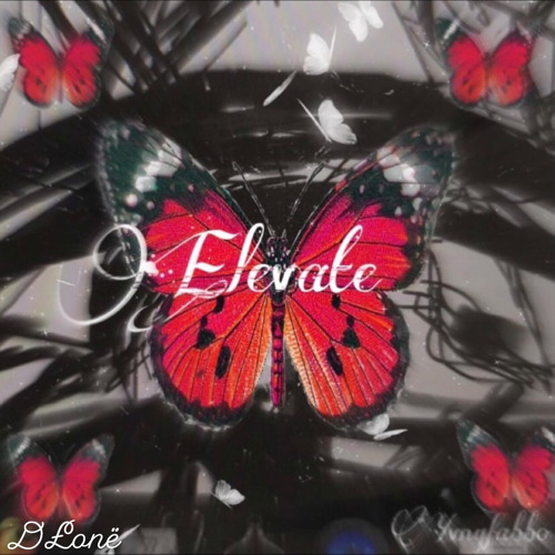 Elevate (OFFICIAL AUDIO) X DŁONË