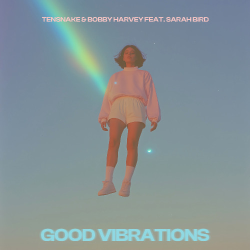Good Vibrations - Tensnake & Bobby Harvey feat. Sarah Bird