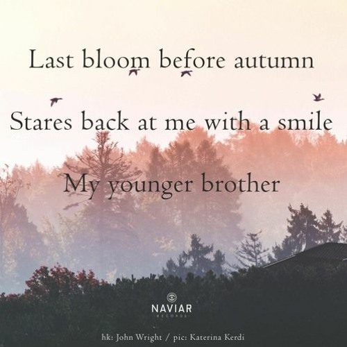 Staring Back - (naviarhaiku515)