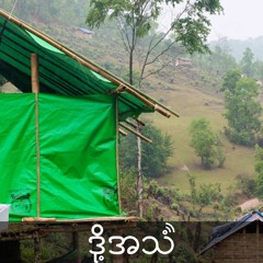 Ep 287 (Eng)Northern Shan IDPs forced to return 'home', but given no assistance