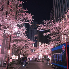 Yu Yu Hakusho Romantic Theme Trap Remix Slowed (Blue Bunny)