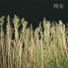 만년 (晩年)