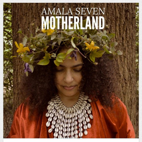 When Shadows Fall Silent: The Mysterious Phenomenon of Cast No Shadow Days