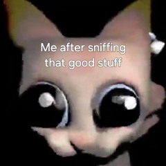 FNF