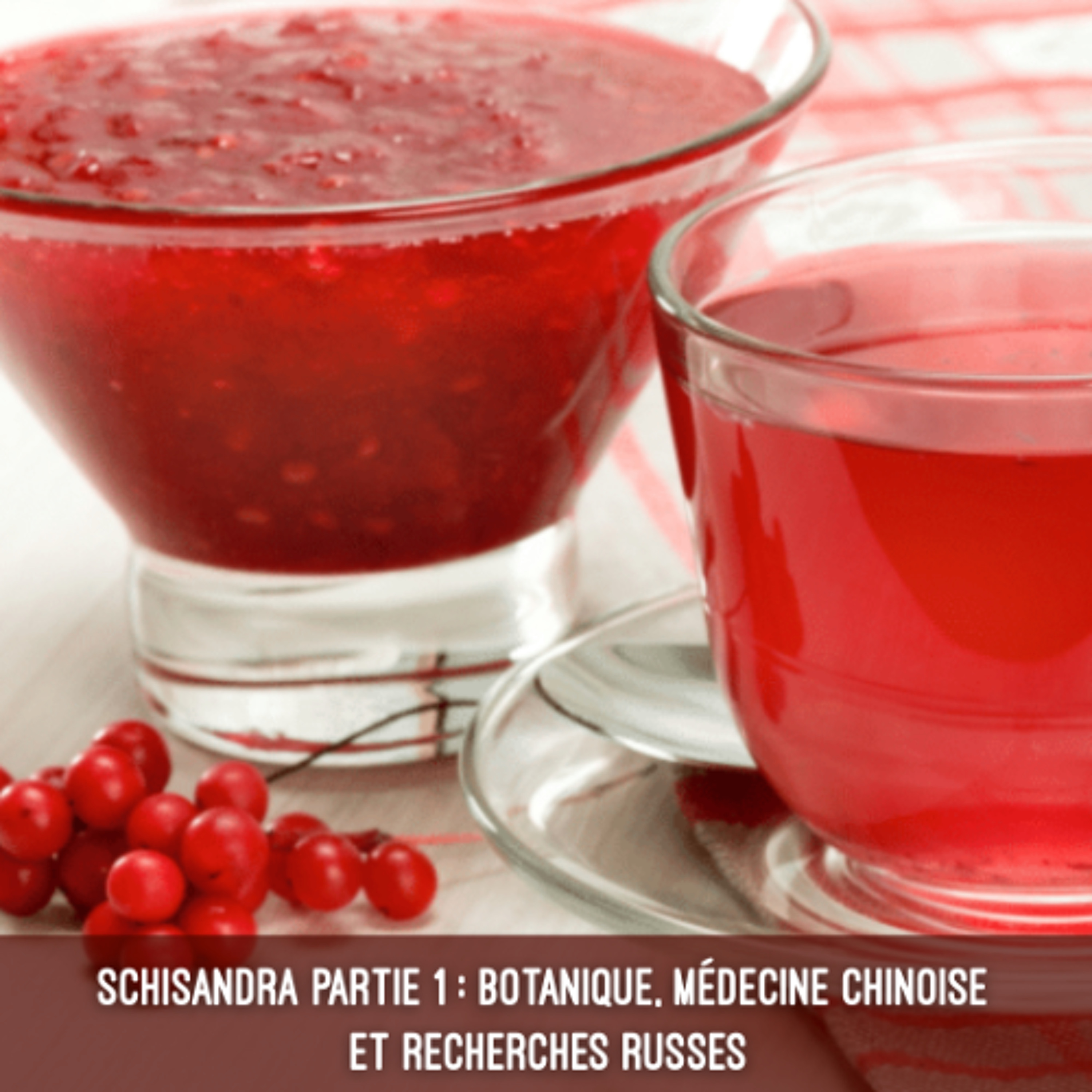 Schisandra partie 1 - botanique, médecine chinoise et recherches russes